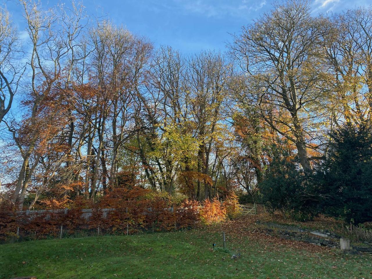 Mill Cottage Garden Studio Nr Melrose Buitenkant foto